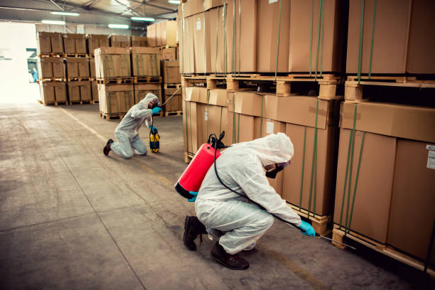 Best Mosquito Control Services  in Cuyahoga Falls, OH