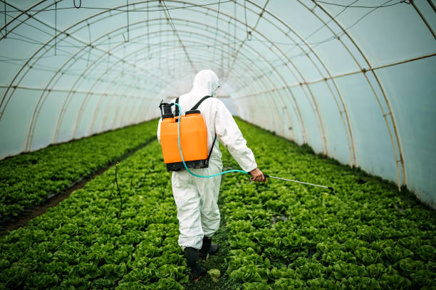 Best Affordable Pest Control Services  in Cuyahoga Falls, OH