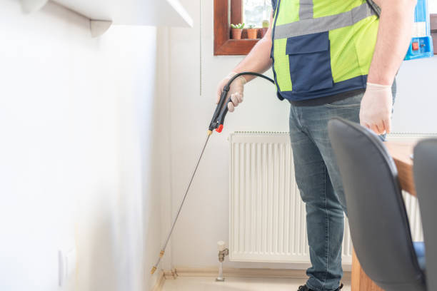 Best Flea Control Services  in Cuyahoga Falls, OH